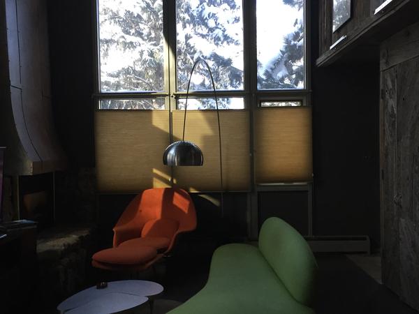 Housesitting assignment in Aspen, Colorado, United States