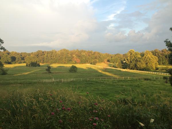 Housesitting assignment in Tontitown, Arkansas, United States
