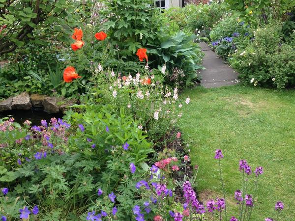 Housesitting assignment in Durham, United Kingdom