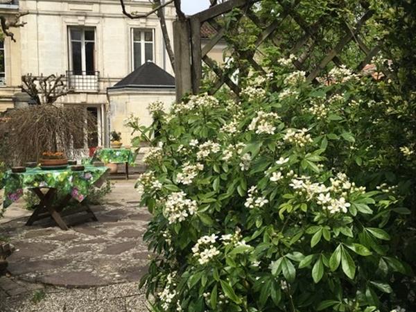 Housesitting assignment in Cognac, France