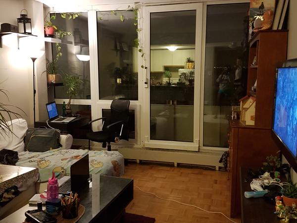 Housesitting assignment in Toronto, Ontario, Canada