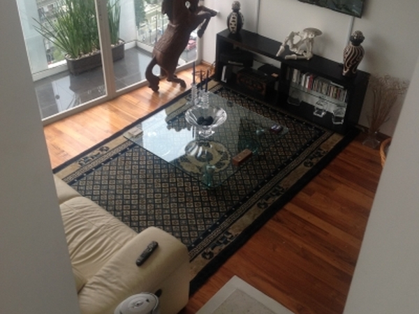 Housesitting assignment in Mexico City, Mexico