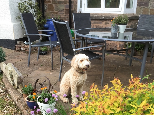 Emma & Malcolm from Tiverton, United Kingdom