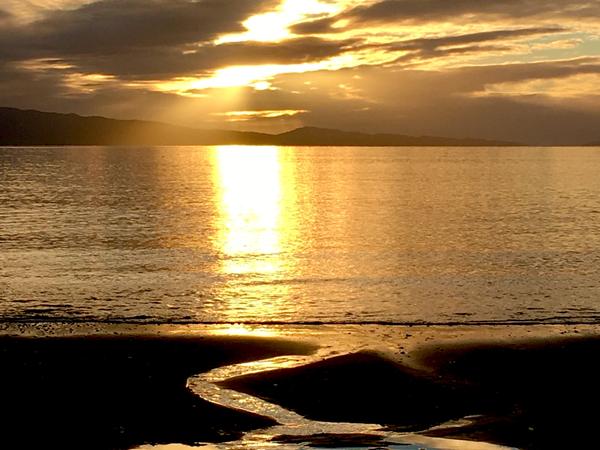 Housesitting assignment in Thames, New Zealand