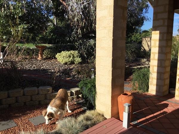 Housesitting assignment in Mandurah, Western Australia, Australia