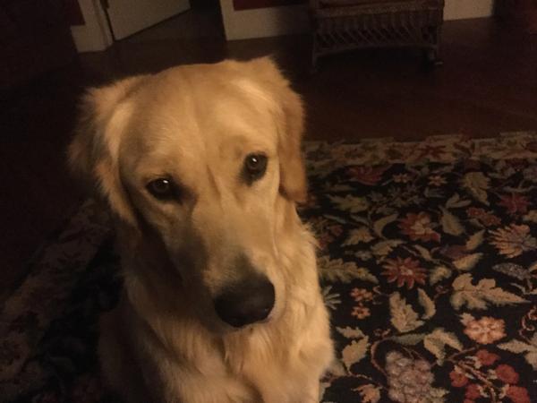 Housesitting assignment in Pueblo, Colorado, United States