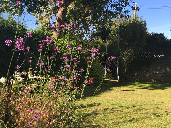 Housesitting assignment in Bath, United Kingdom