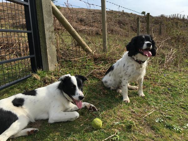Kathie & Ian from Cayton, United Kingdom